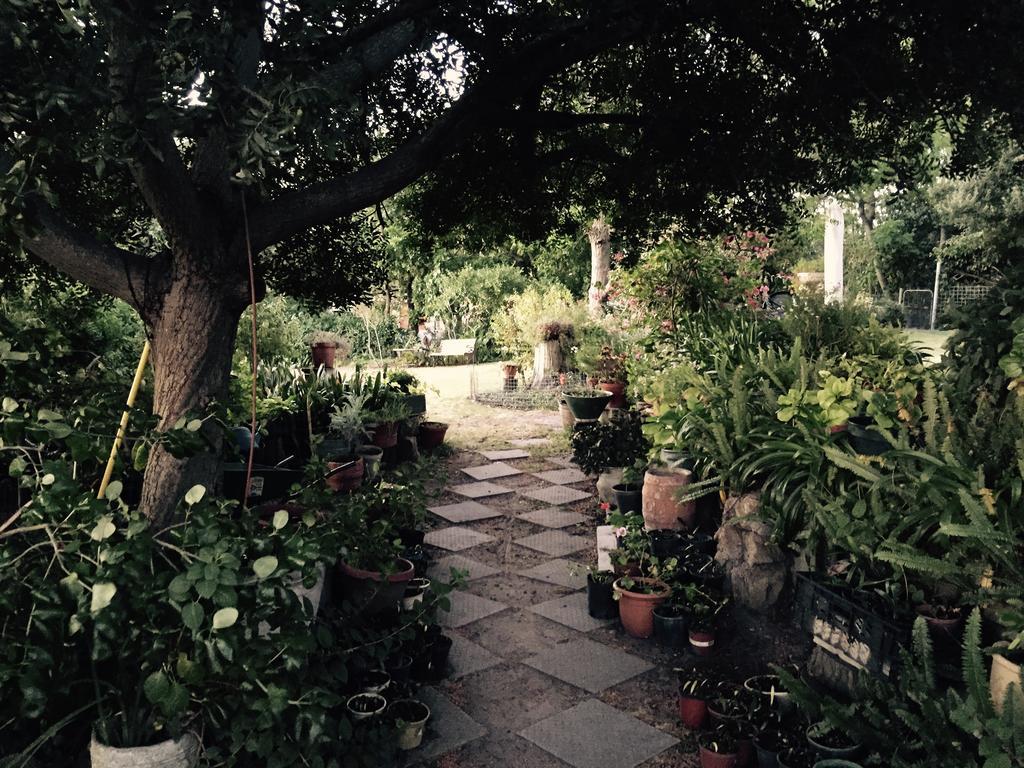 Helderbos Country House 서머싯웨스트 외부 사진
