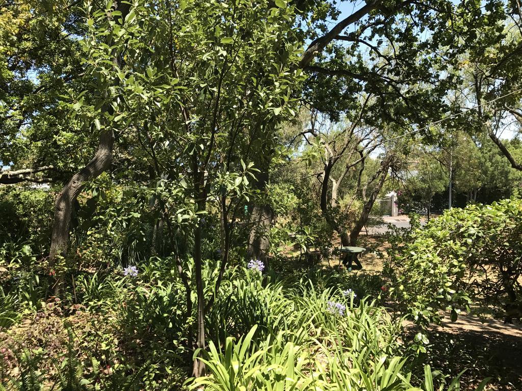 Helderbos Country House 서머싯웨스트 외부 사진
