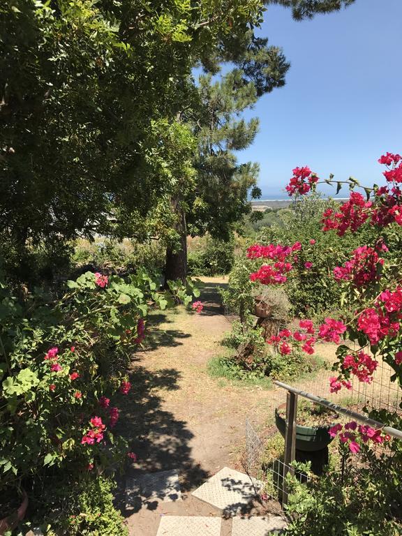 Helderbos Country House 서머싯웨스트 외부 사진