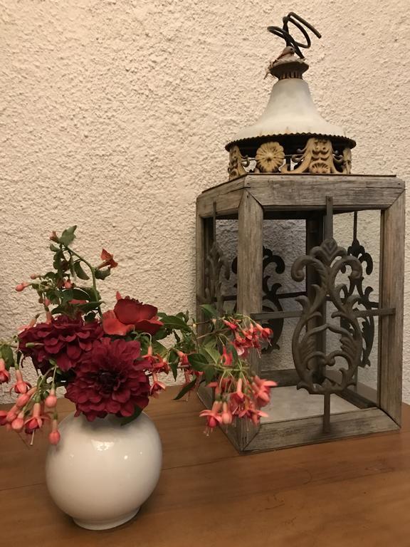 Helderbos Country House 서머싯웨스트 외부 사진